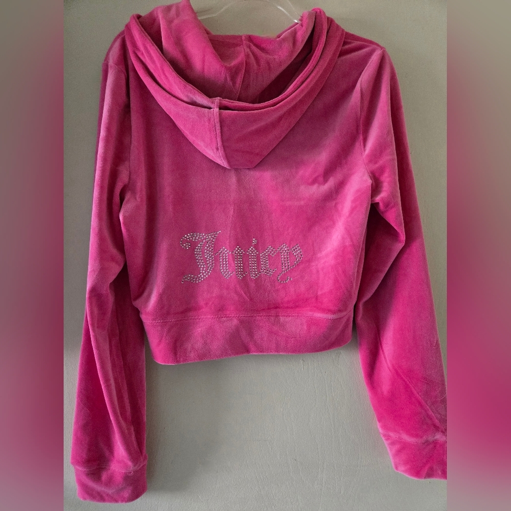 NWT Juicy Couture Pink Velour Hoodie